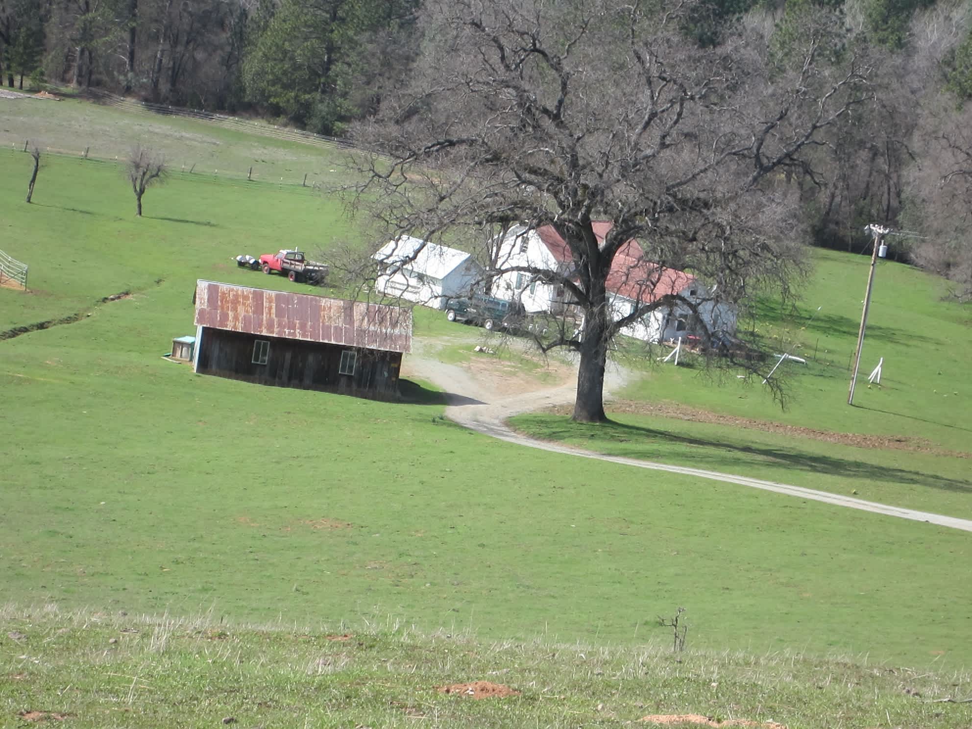 The homestead and outbuildings at Irish Creek Ranch seen across green spring pasture
