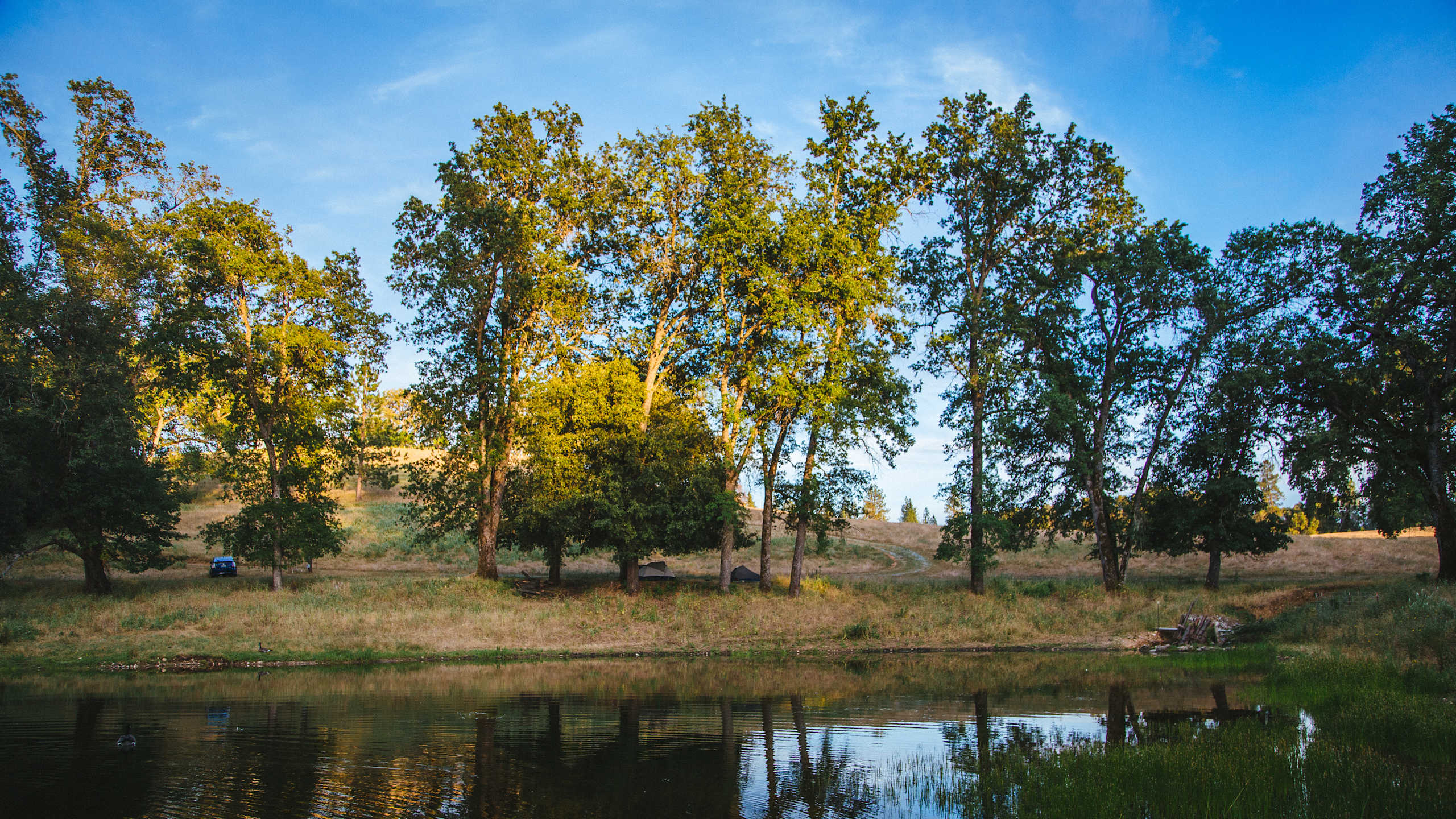 The seasonal pond at Irish Creek Ranch at sunset, oaks reflected in still water