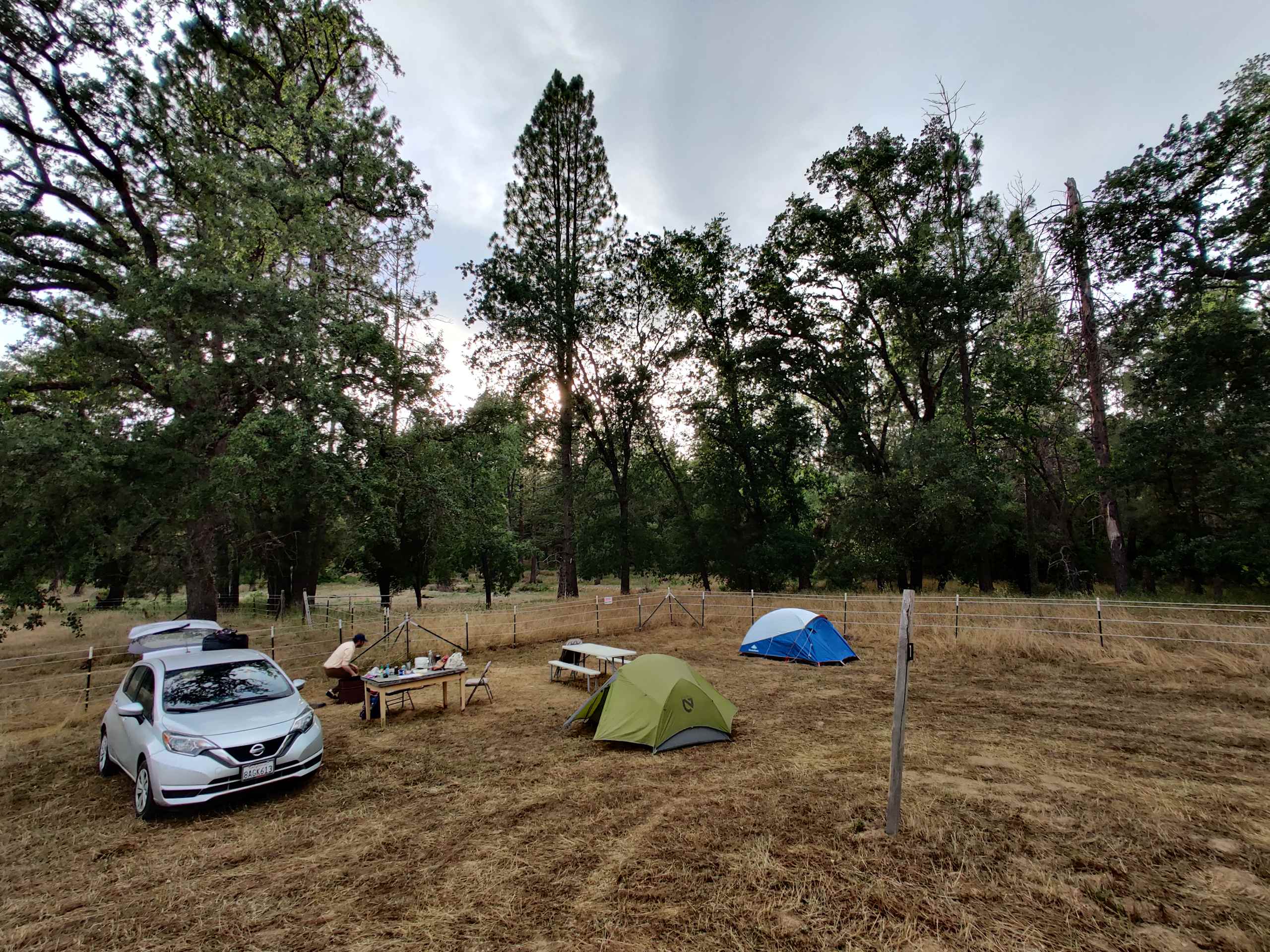 A spread-out campsite in the oak meadow with tents and a picnic table